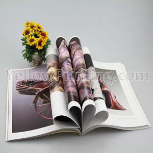 Magazine Catalog Printing Service