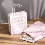 Kraft Paper Bag With White Paper Twisted Handle